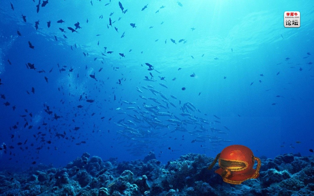Fish_Sea_01_104_1440.jpg