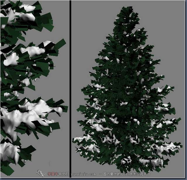 image_06_snow_tree.jpg