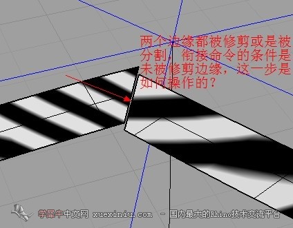 衔接与修剪.jpg