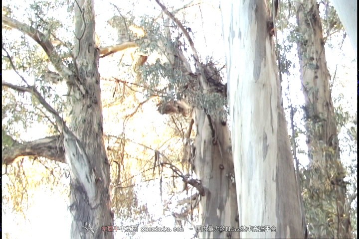 hdr-079.jpg