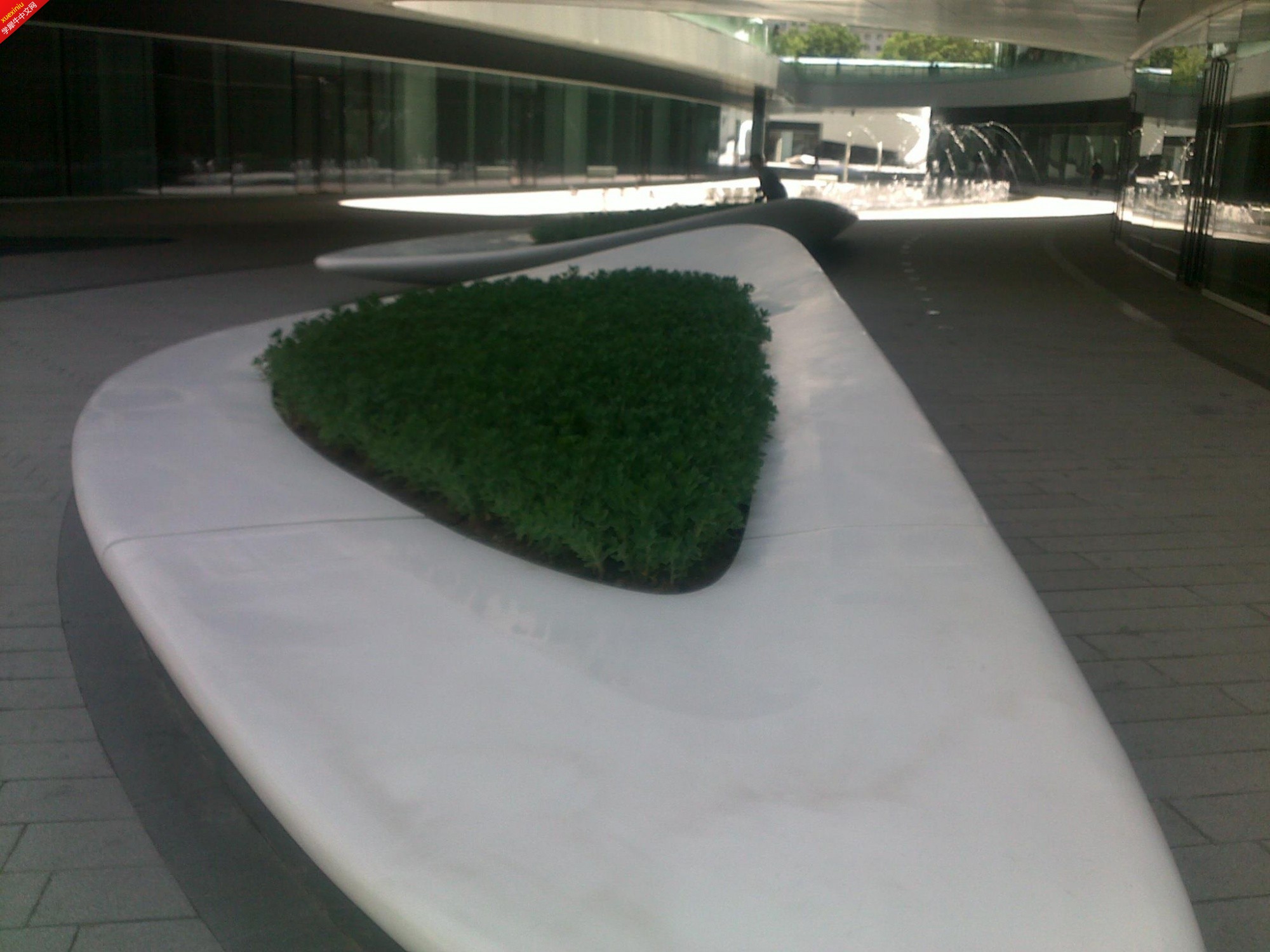 20130511206.jpg