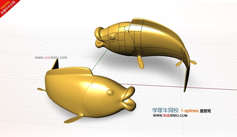 金鱼.jpg