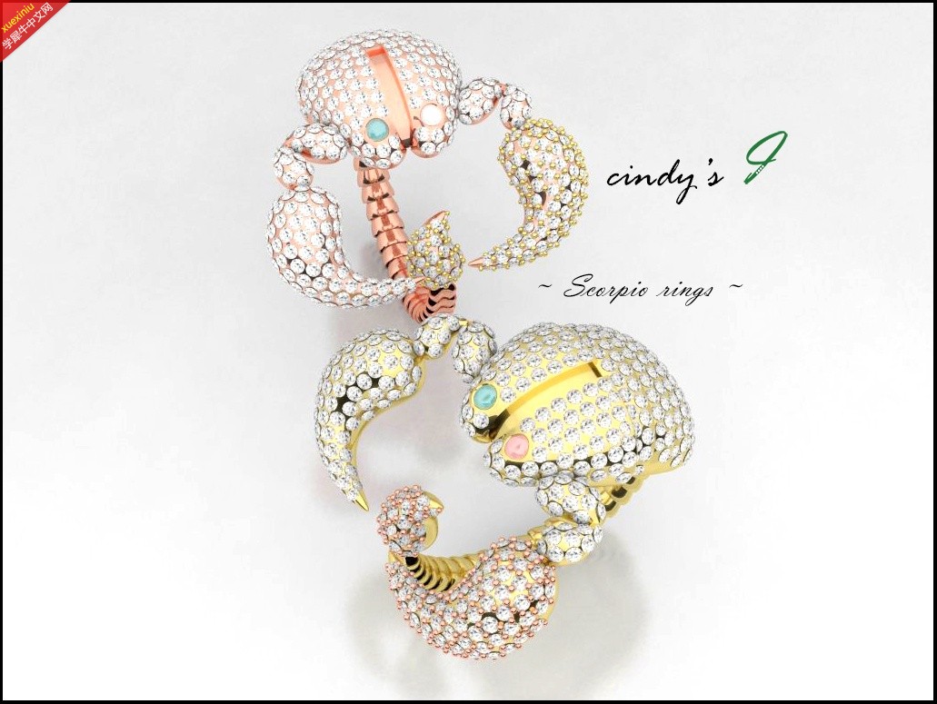 scorpio ring-1.jpg