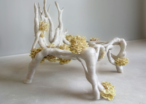 2013-new-material008.jpg
