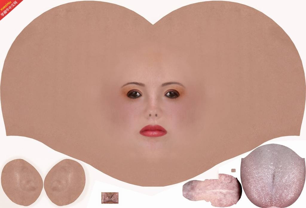 li_head_xptex_04.jpg