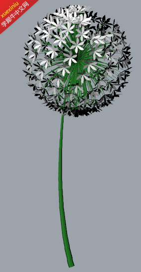 sample1.png