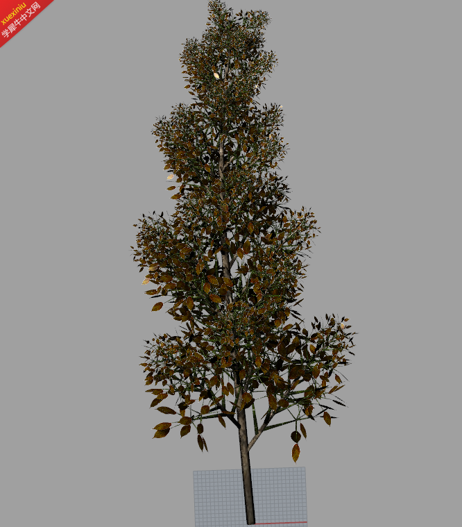 flowersample1.png