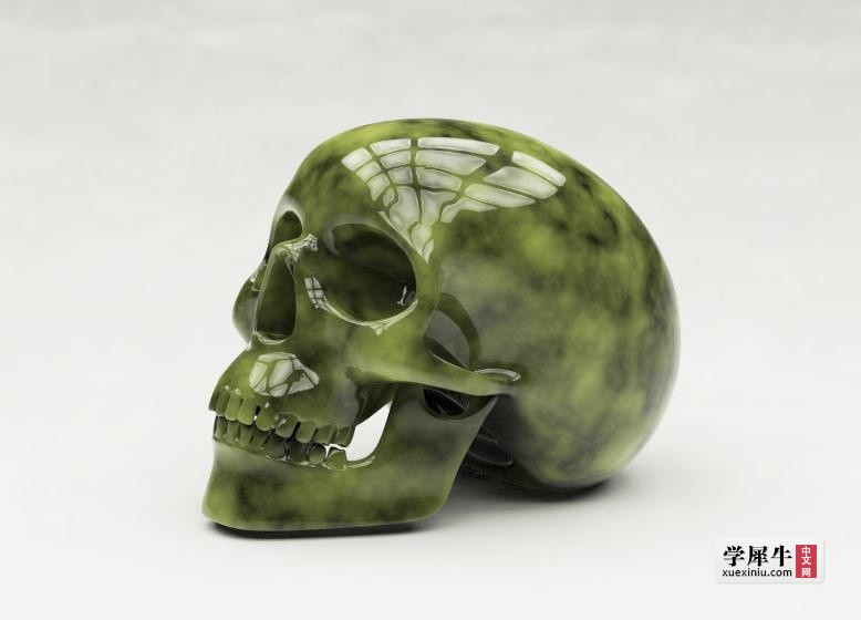 skull