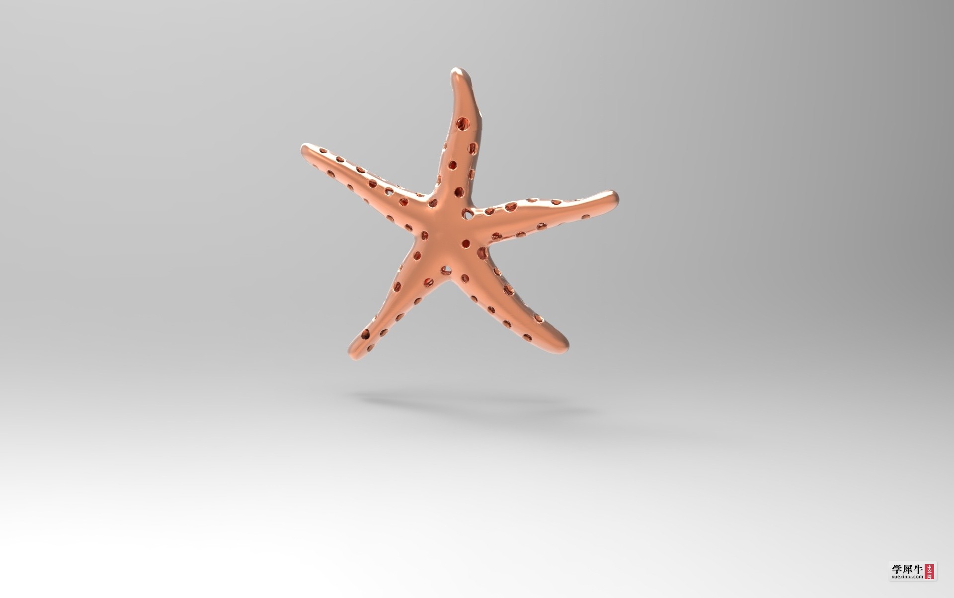 untitled.53.jpg