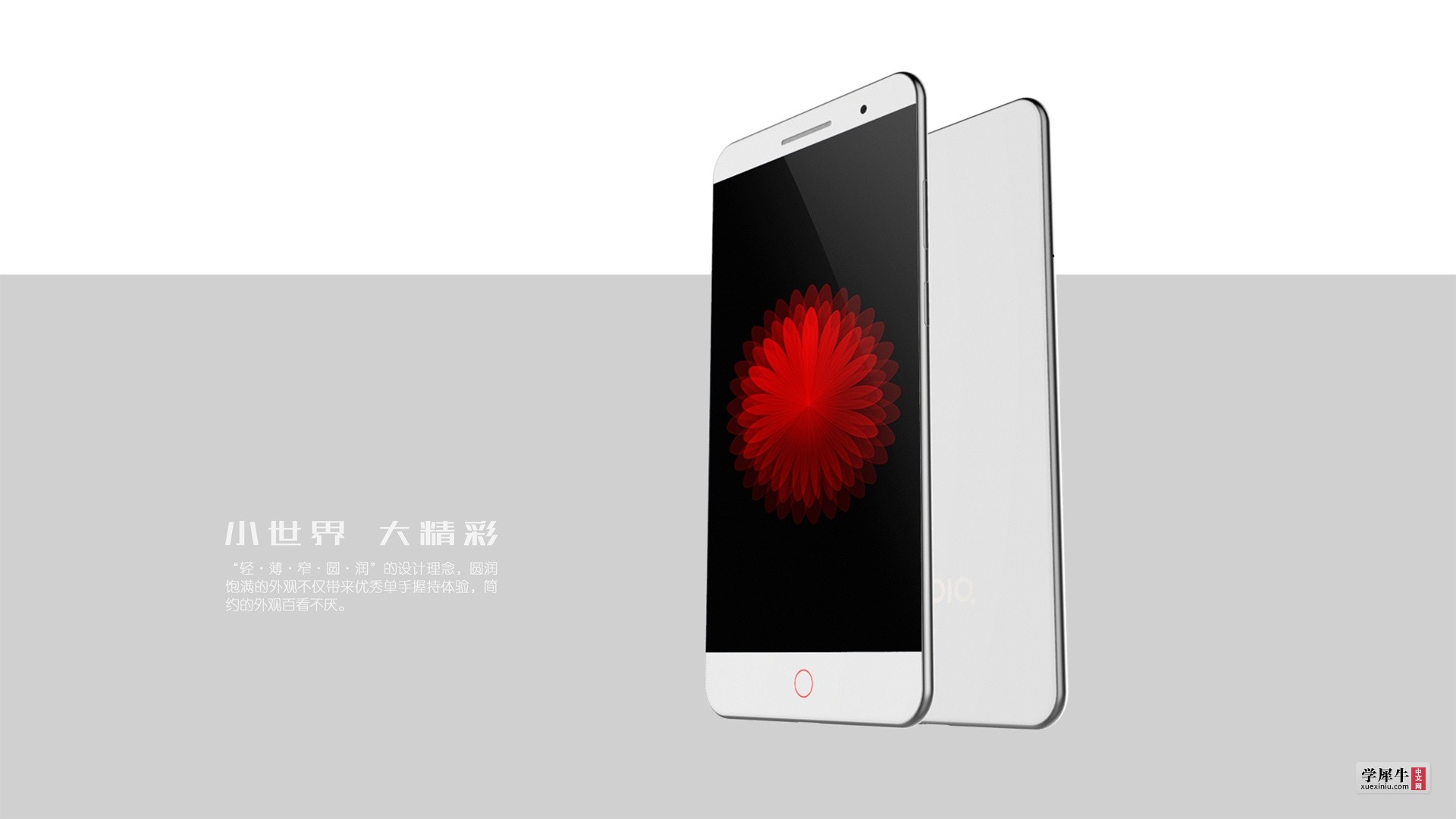 努比亚01.jpg