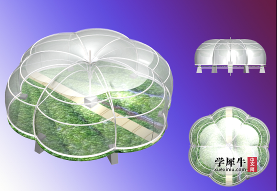 大棚2.png