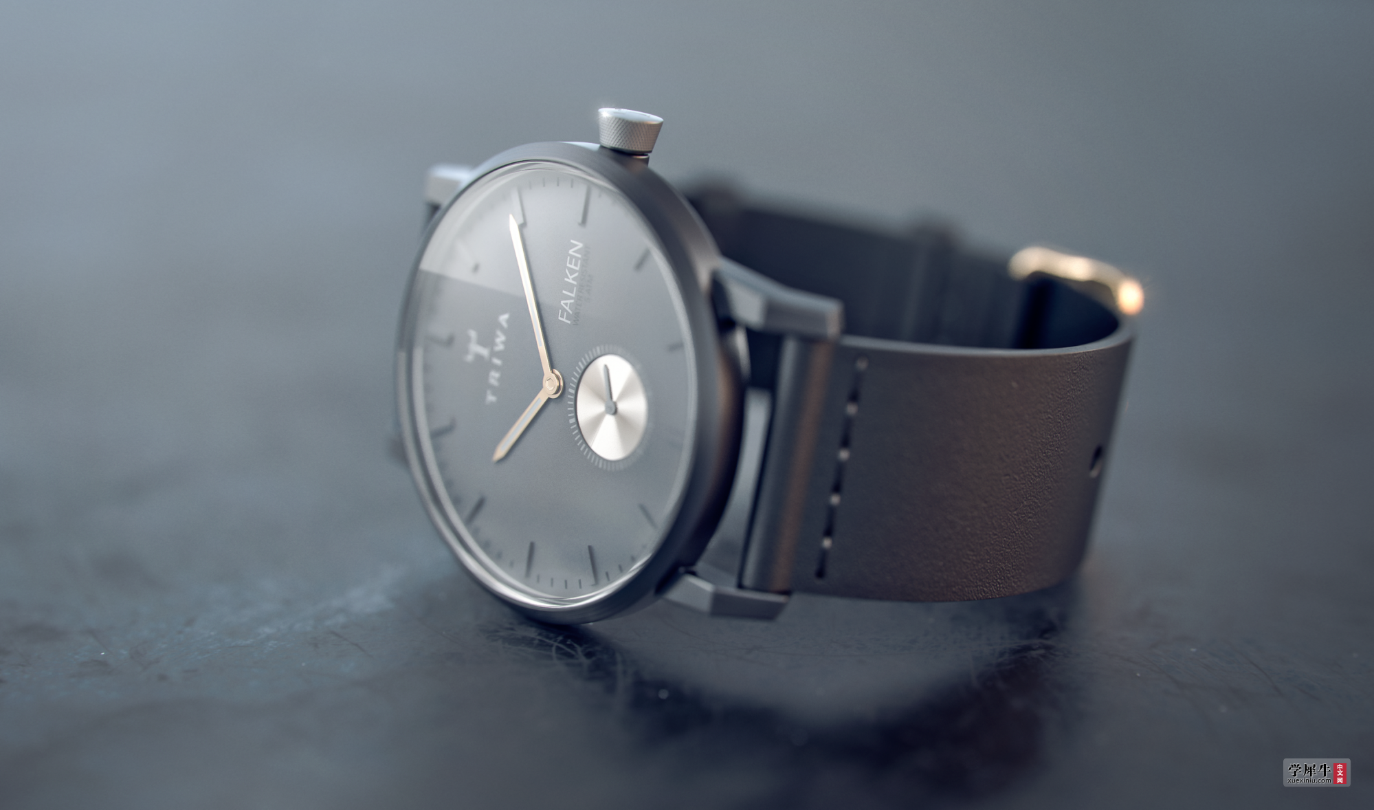Triwa Falken Wrist Watch Final.png