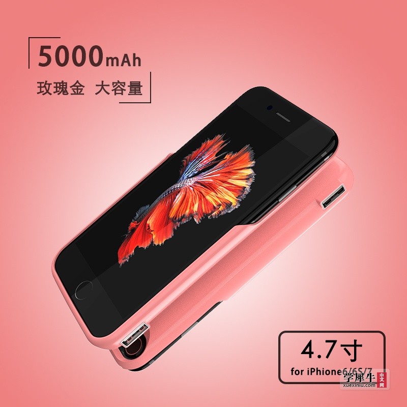 粉.jpg