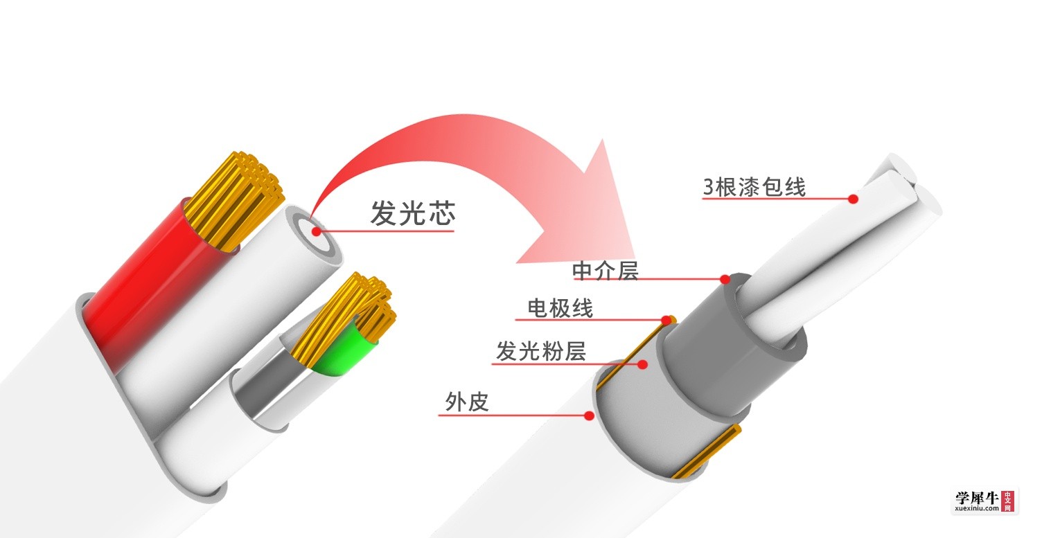 发光数据线以及发光芯