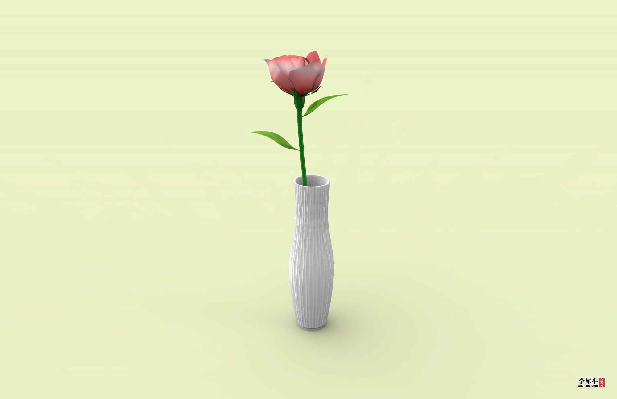 FLOWER.18.jpg