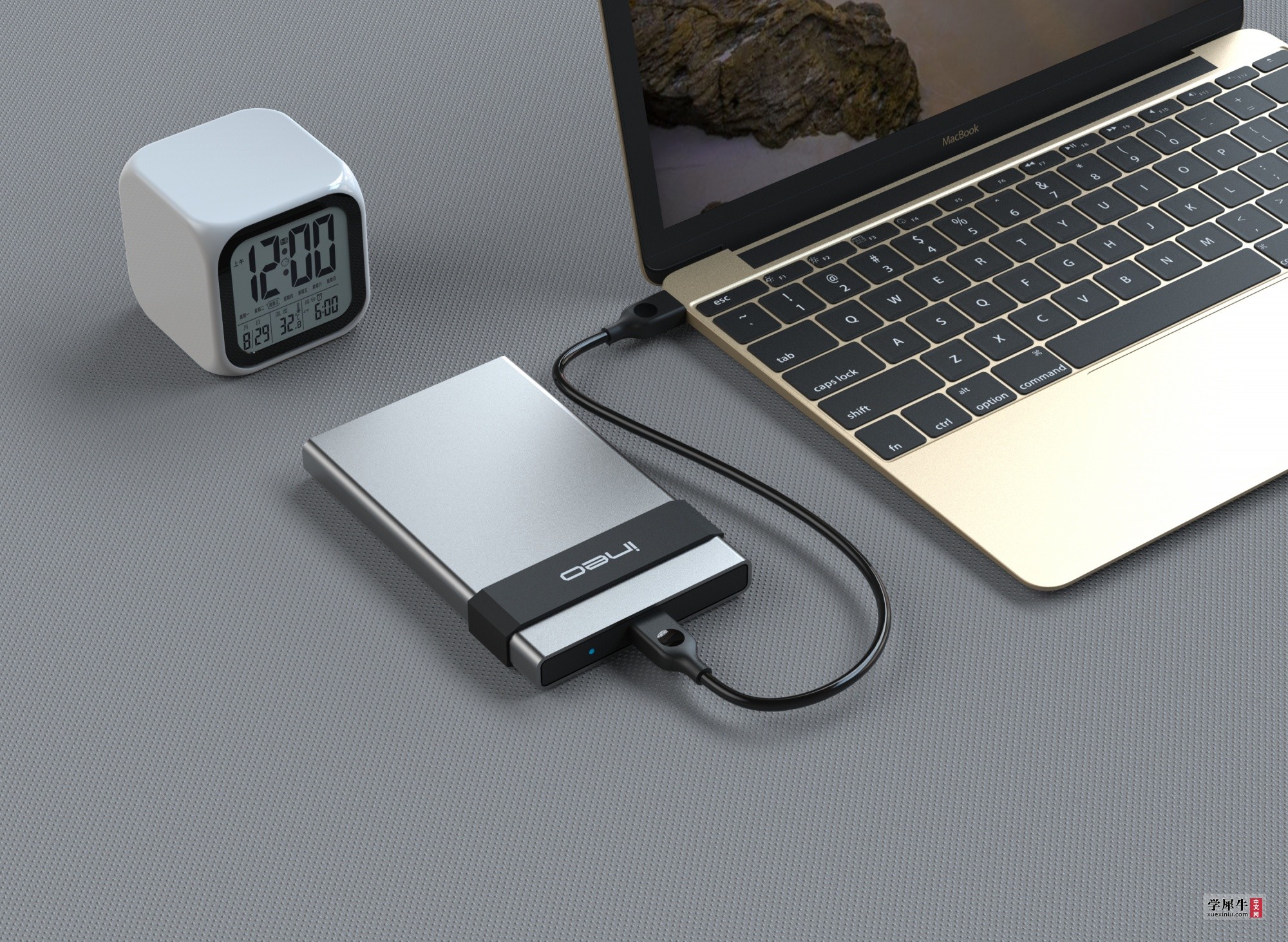 C2561-mac.31.jpg