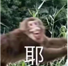 AFD392E447EBDC8907F12385A49DF80B.png