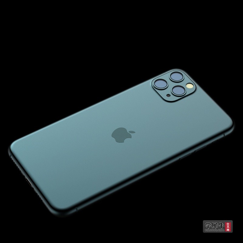 11 Pro Max-2.jpg