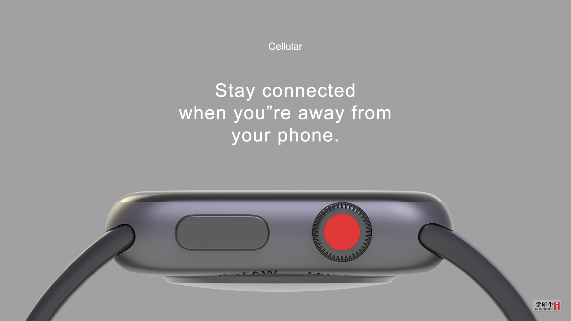 apple watch.png