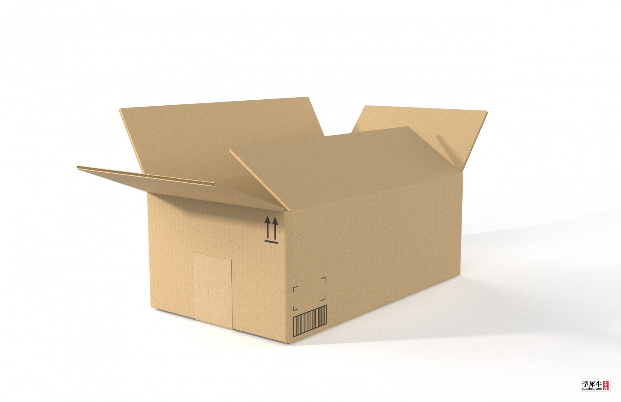 cardboard MGM.381.jpg