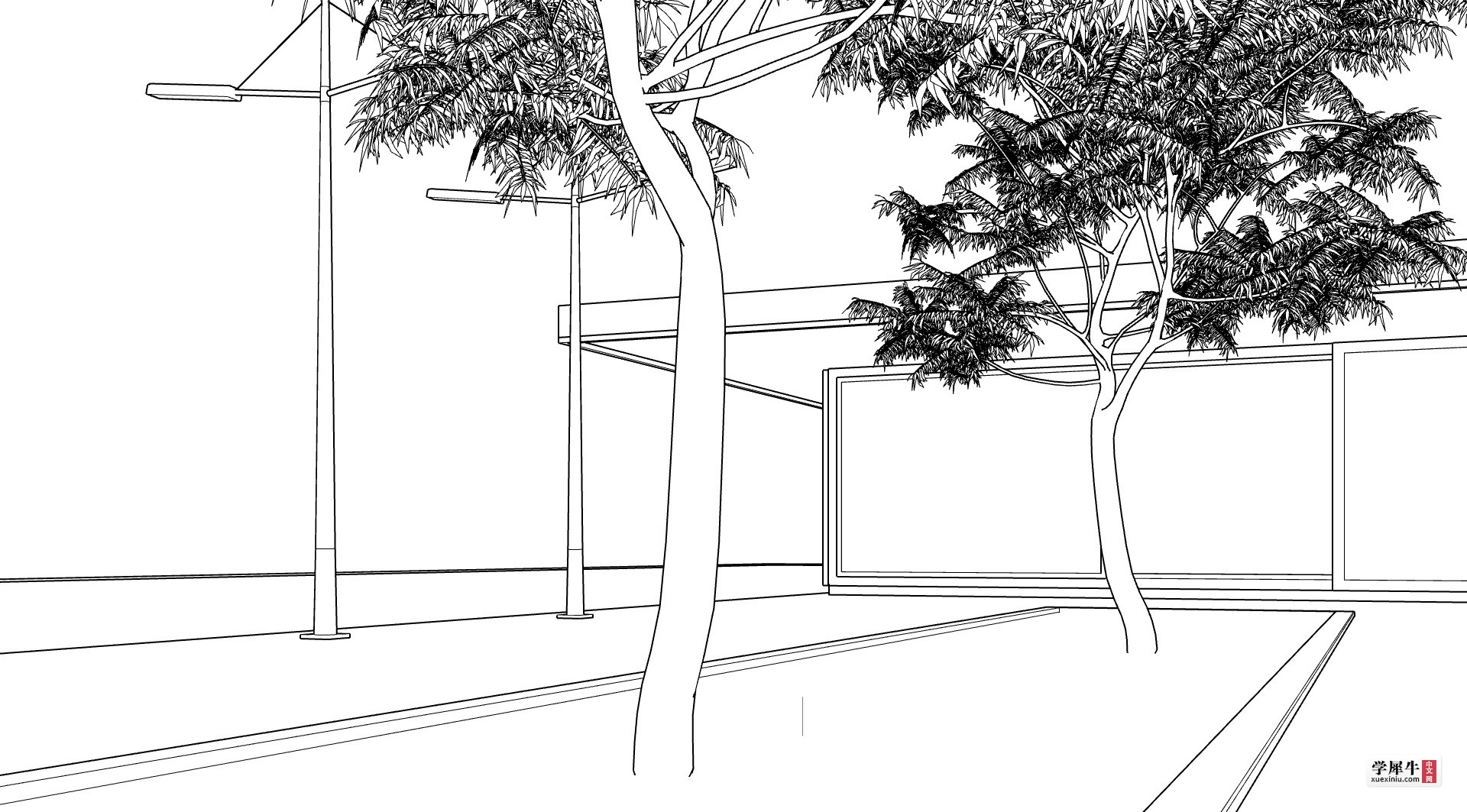 线条