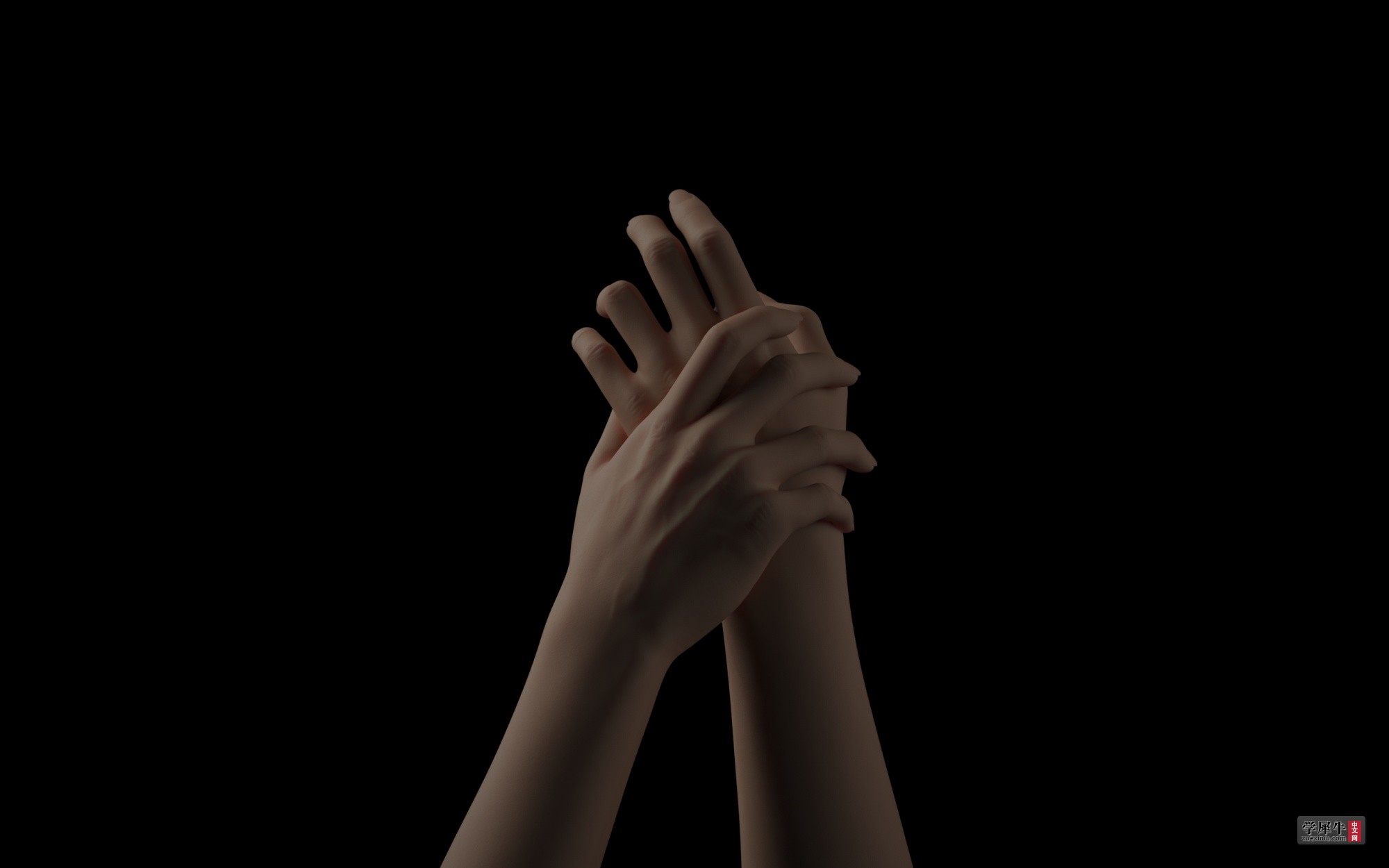 untitled.4.jpg