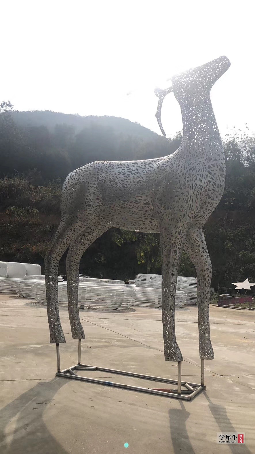 **图片_202012311804235.jpg