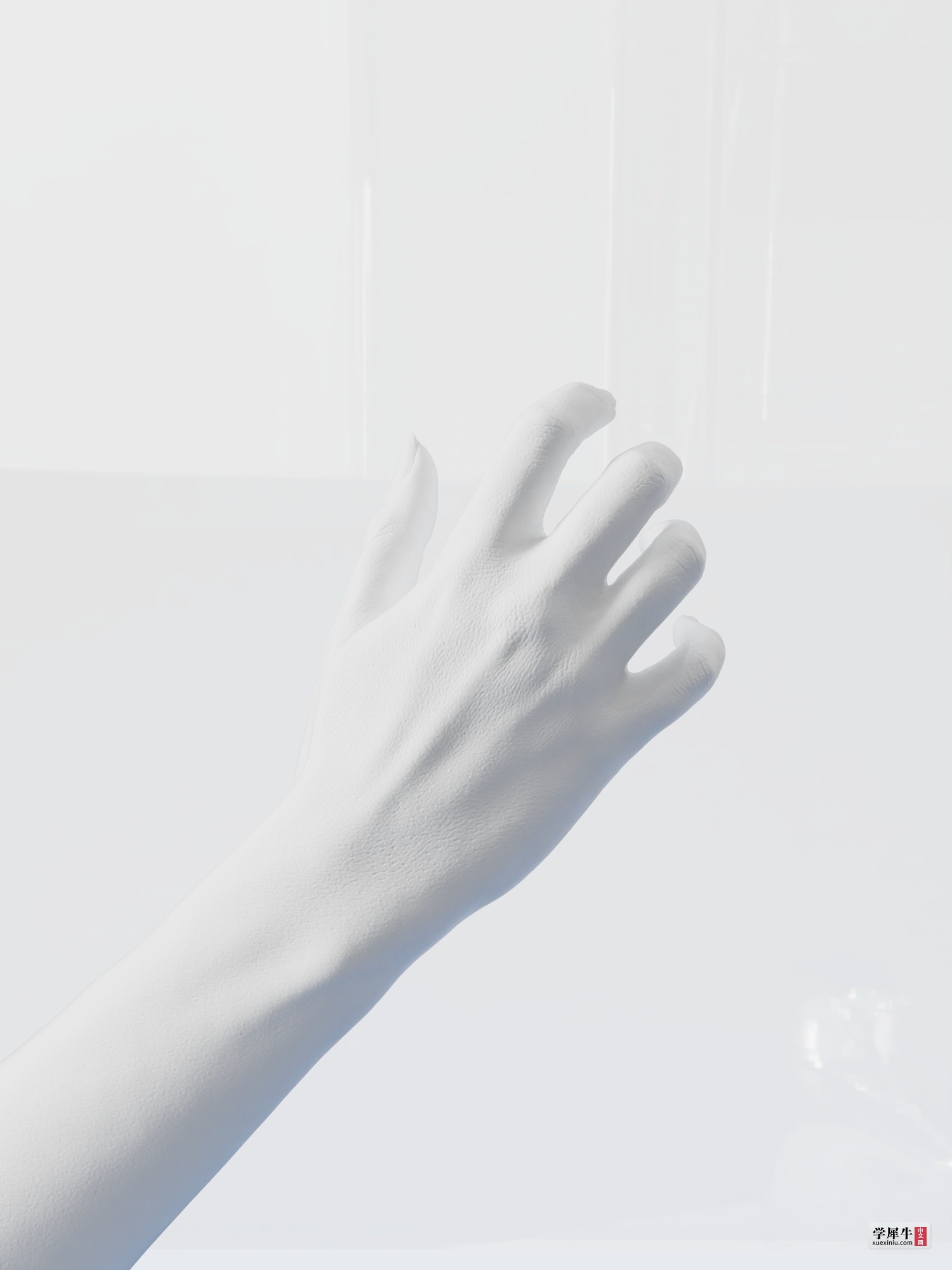 手.11.jpg