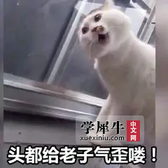 v2-5065d8c6a2dae9028bddeda2caa4f8df_1440w.png