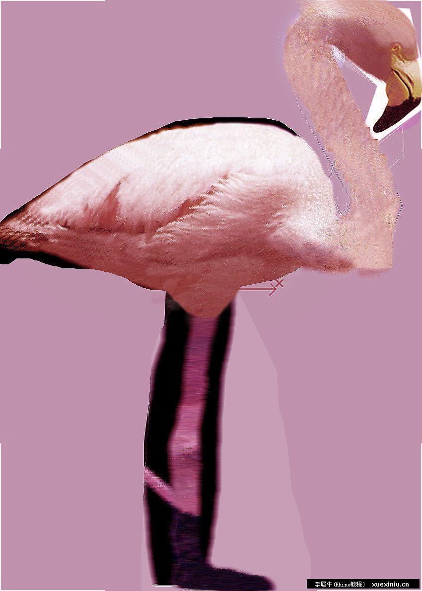 FLAMNT.JPG