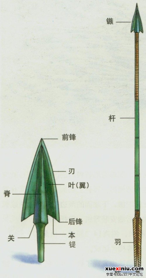 箭支.jpg