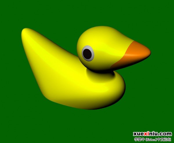 duck.jpg